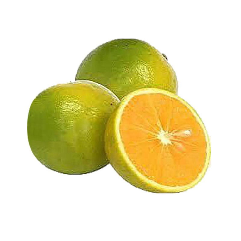 Orange Abu Sura - 5