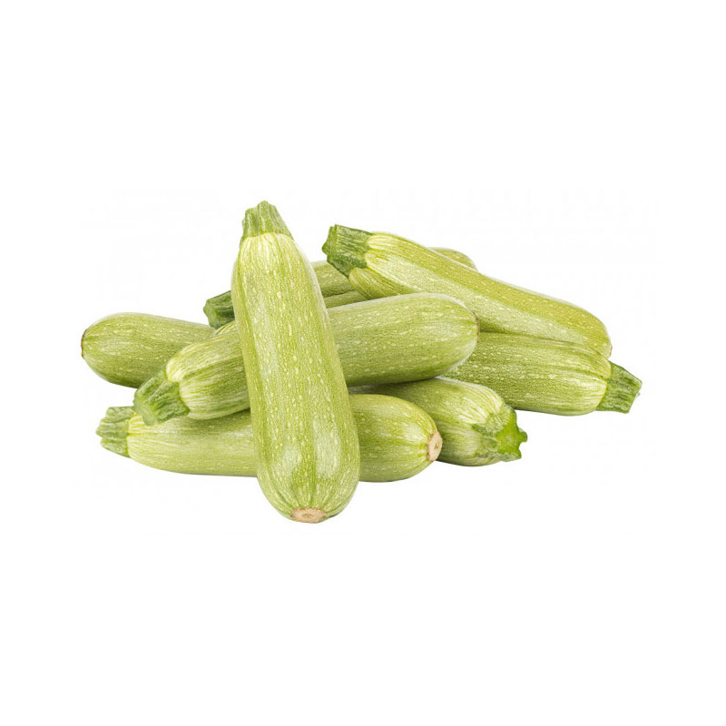 Zucchini - 5