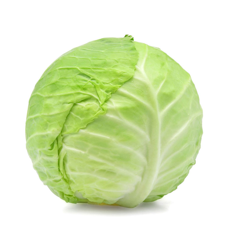 Green Cabbage - 5