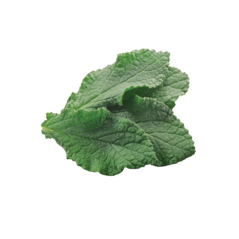 Tung Leaves - 5