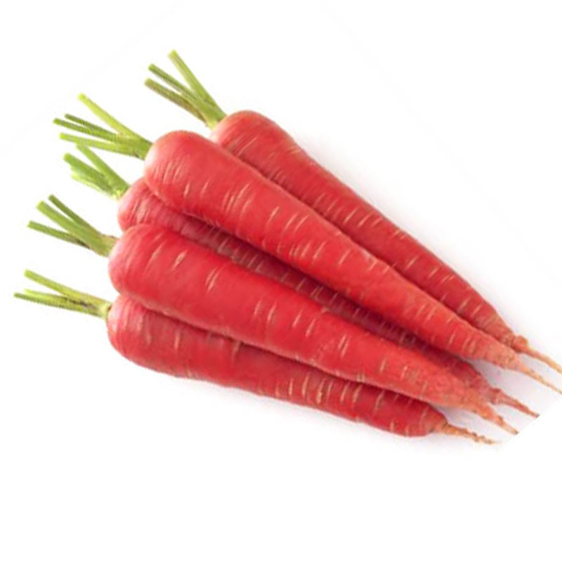 Red Carrots - 5