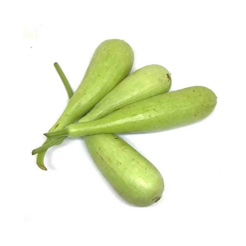 Winter Squash - 5