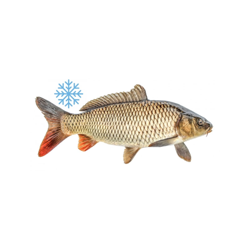 Carb Brown Fish Frozen - 5