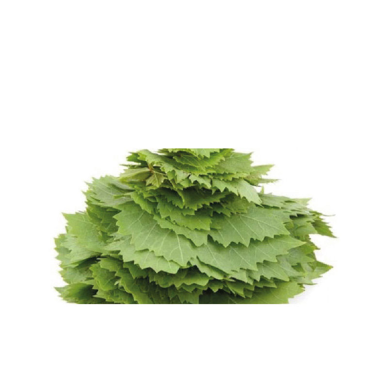 Grape Leaves product thumbnail 2