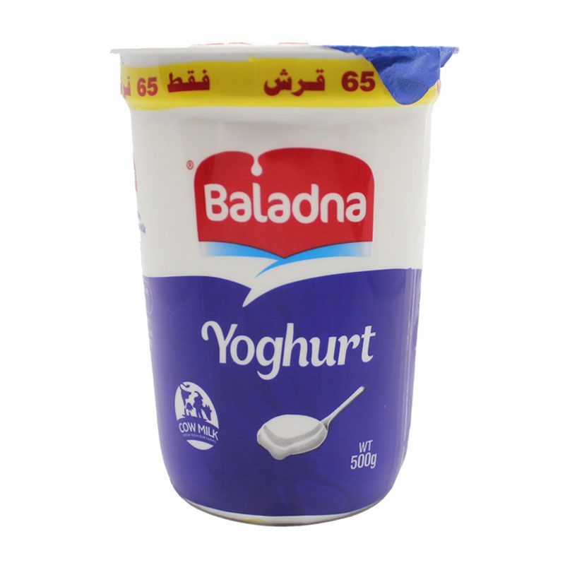 Bldna Yogt 500gr product thumbnail 2