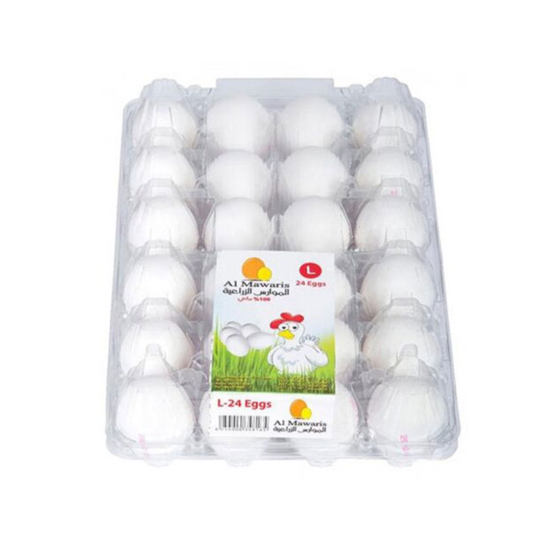 Al Mawaris Eggs Plastic L 30pc product thumbnail 2