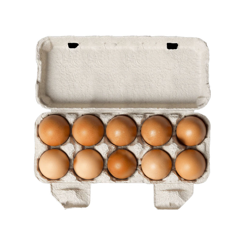 Ajyad Organic Local Egg 10pc. product thumbnail 2