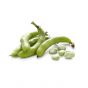 Green Fava - 5
