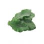 Tung Leaves - 5