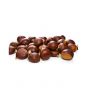 Chinese Chestnuts