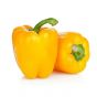 Sweet Pepper Yellow