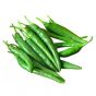 Indian Green Hot Pepper - 5
