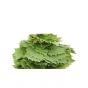 Grape Leaves