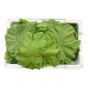 Grape Leaves