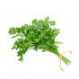 Parsley Pro.