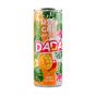 Dada Sparkling Mango Drink