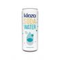 Kinza Soda Water 250ml