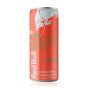Red Bull Watermelon