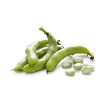 Green Fava - 5