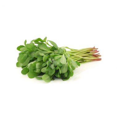 Herbs - 5
