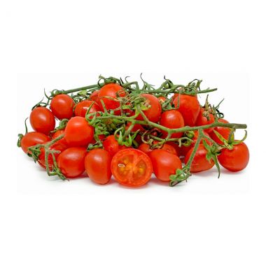 Glaster Tomato - 5