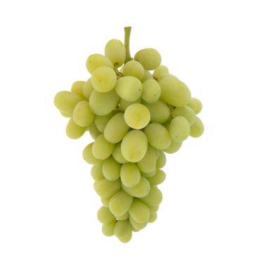 Seedless Grape - 5