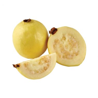 Guava - 5
