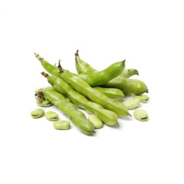 فول أخضر مالطي - 5