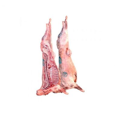 خاروف استرالي طازج - 9.5