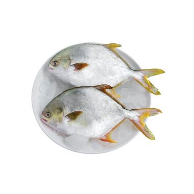 Golden Pomfret Frozen Kg - 5