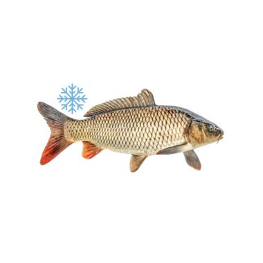 Carb Brown Fish Frozen - 5