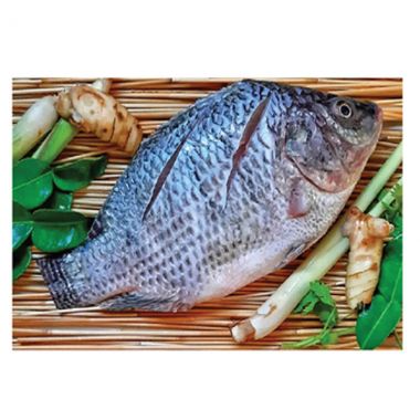 Frozen Whole Tilapia Fish - 5