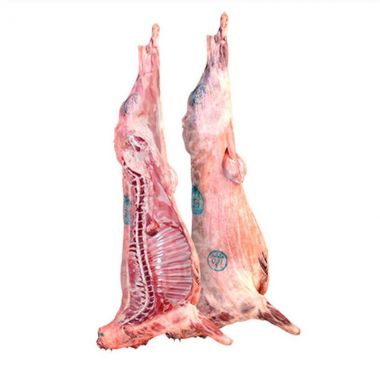Imp Lamb Small Africa - 9.5