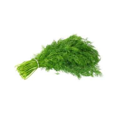 شبت