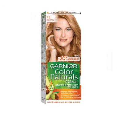 Garnier Hair Color 7.3
