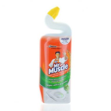 Mr Muscle Toilet Duck Liq Mint