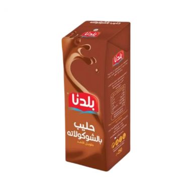 Baladna Milk Choco 250ml
