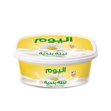 Alyoum Labneh Baladi 500gr