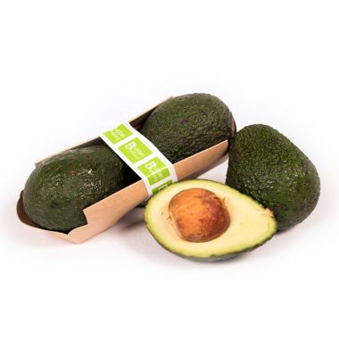 Bustan Avocados Fresh 