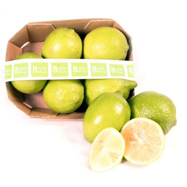 Lemon Fresh Bulk Tray