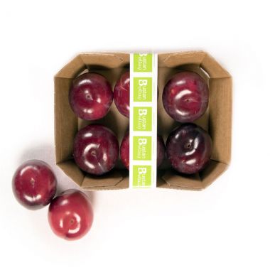 Plums Fresh