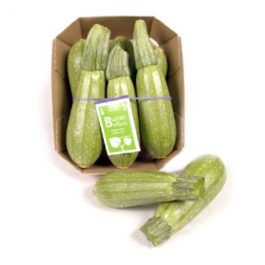 Bustan Zucchini Green Tray 