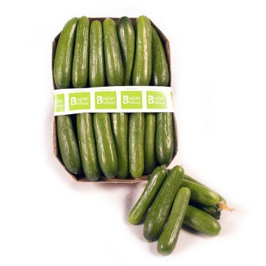 Bustan Baby Cucumber Tray