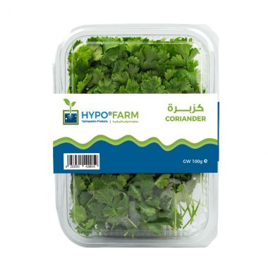 Coriander