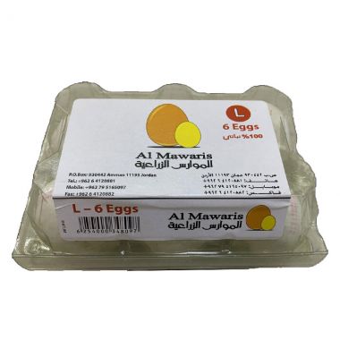 الموارس بيض في علبة بلاستيكية لارج 6