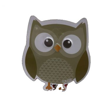 Owl White Board Eraser