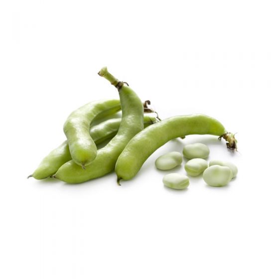 Green Fava - 5