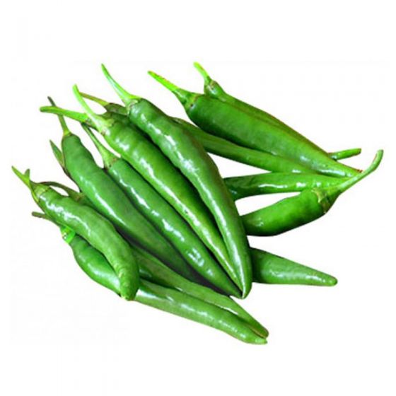 Indian Green Hot Pepper - 5