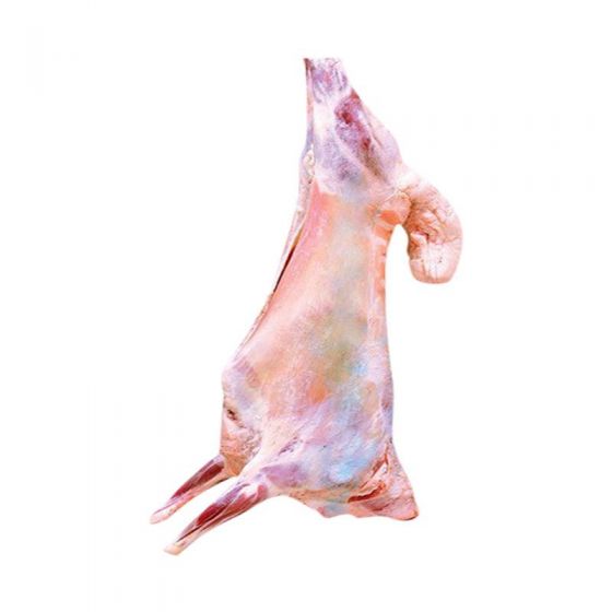 Local Whole Lamb - 9.5