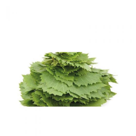 Grape Leaves